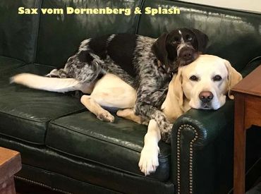 Tolerance or bonding?