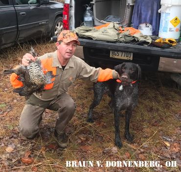 I think that's a prairie chicken