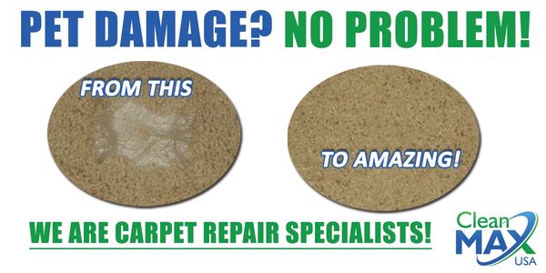 Carpet Patching
Carpet repairs
Carpet repair
Pet damage
Hole in carpet repaired