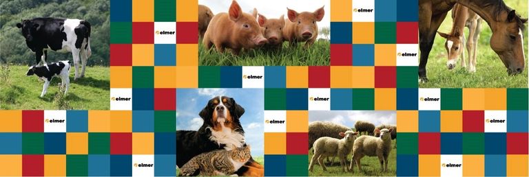 Elmer Medicina Veterinaria