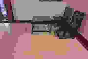 image18