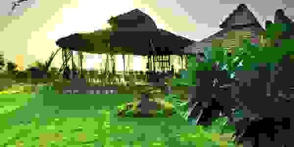 image6