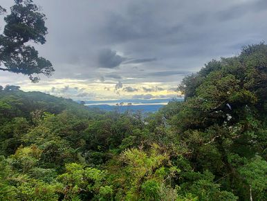 Paisaje de un bosque en la Fortuna