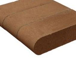 Chesnut Bullnose Style Coping Belgard Coastal Old Castle Artistic Pools of Florida