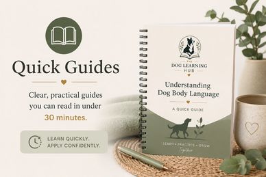 Quick guide on understanding dog body language.