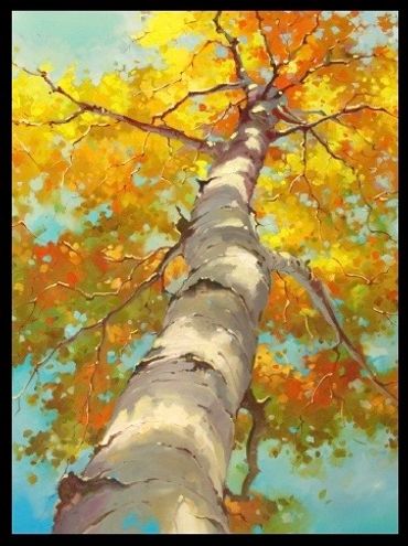 Birch Tree in Fall