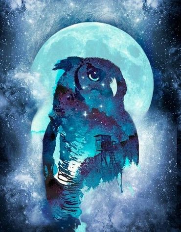 Owl in MoonLight