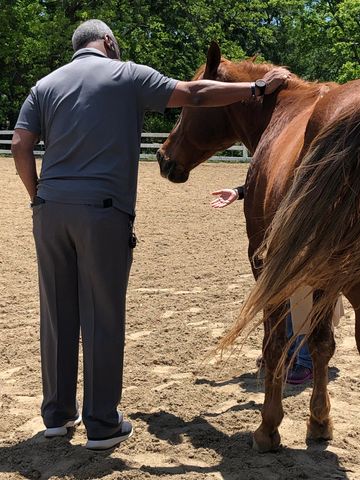 Man standing beside a horse