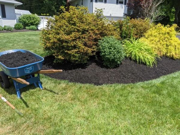 Freshly mulched garden bed with a blue wheelbarrow and lush green lawn.