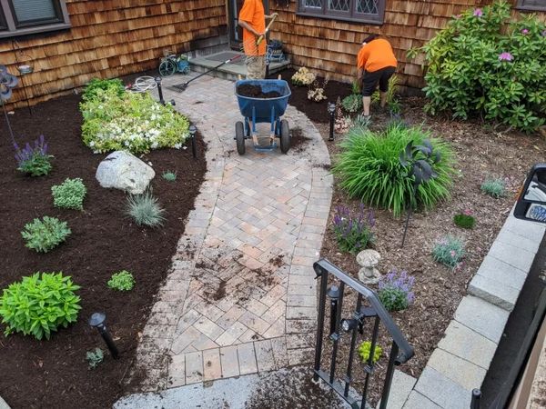Gardeners working on a landscaped path with mulch and plants.