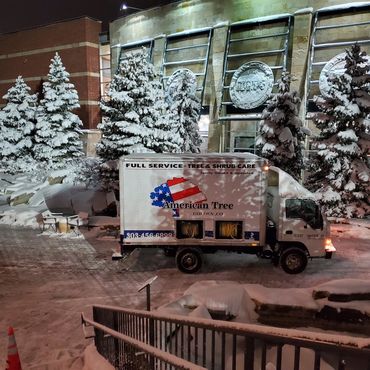 Snow-covered tree care truck parked in front of snowy pine trees at night.