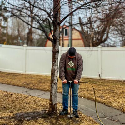 Person using a manual water pump near a tree.