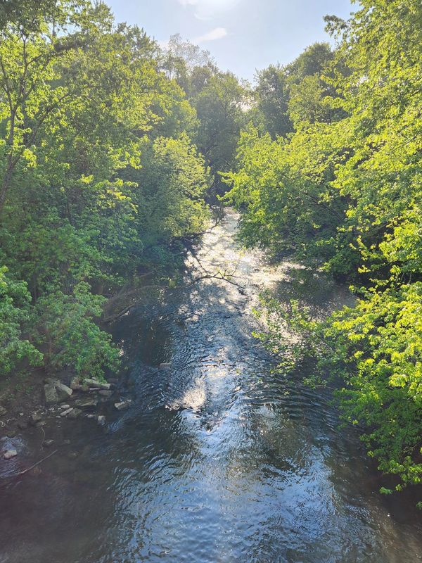 Image: Paint Creek, Johnson County, Kentucky 