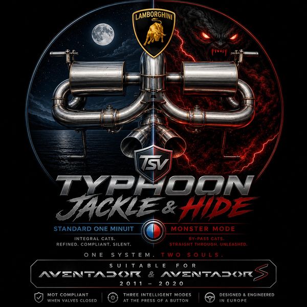 Logo and engine graphic for Lamborghini Typhoon Cat System.