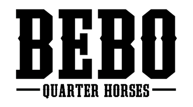 Bebo Quarter Horses