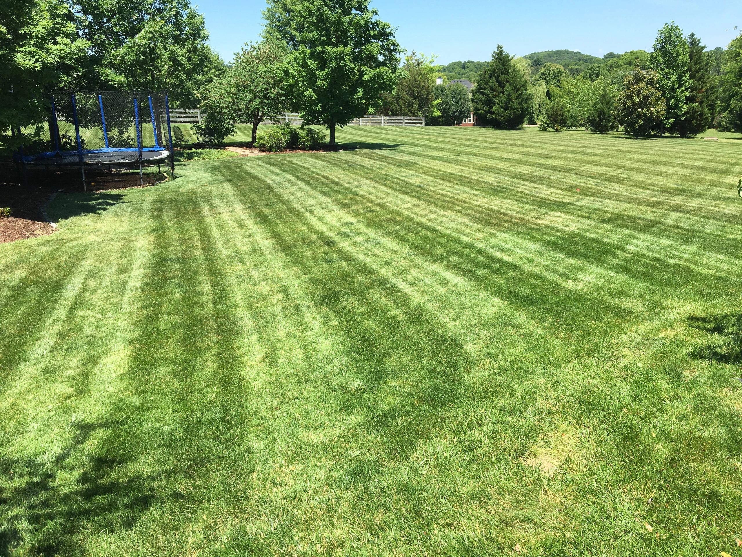 Five Star Landscaping