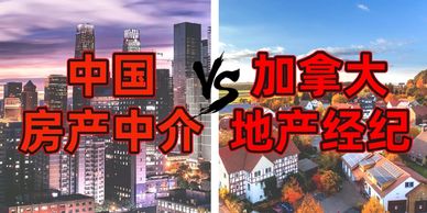 多伦多地产经纪 Suning Jiang 加华房产 Suning Canada
多伦多房产经纪 Suning Jiang 加华房产 Suning Canada