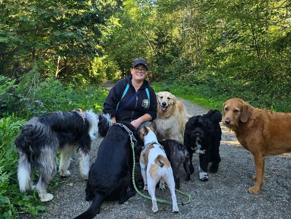 A woman wearing a black cap and hoodie smiles while surrounded by six dogs on a forest path.
