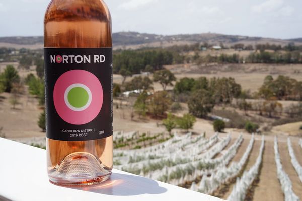 Our light and fruity Rosé - perfect on a warm summer's day on our balcony.