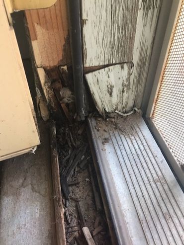 Dry Rot on exterior door frame and threshold