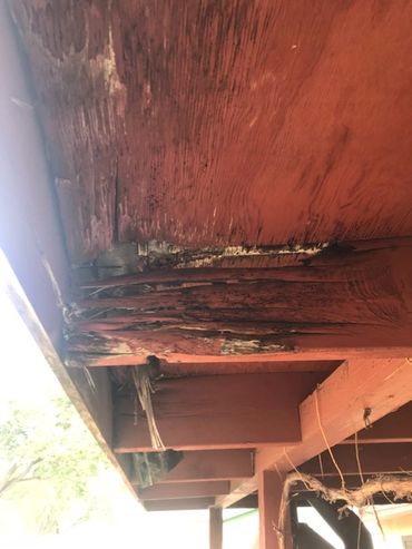 Dry Rot located on exterior patio cover joist