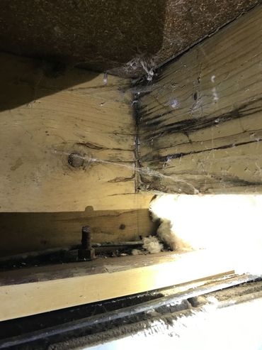 Dry Rot located in crawlspace