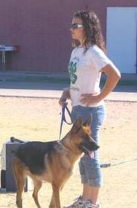 Black and Red female German Shepherd short coat