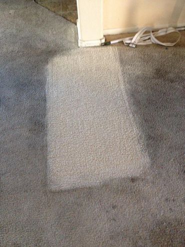 Rug and carpet cleaning