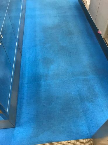 Carpet cleaning and sanitizing