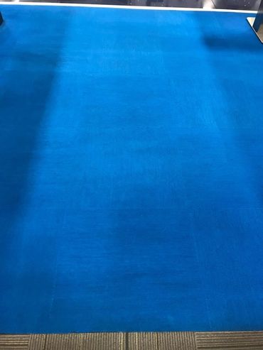 Professional carpet cleaning