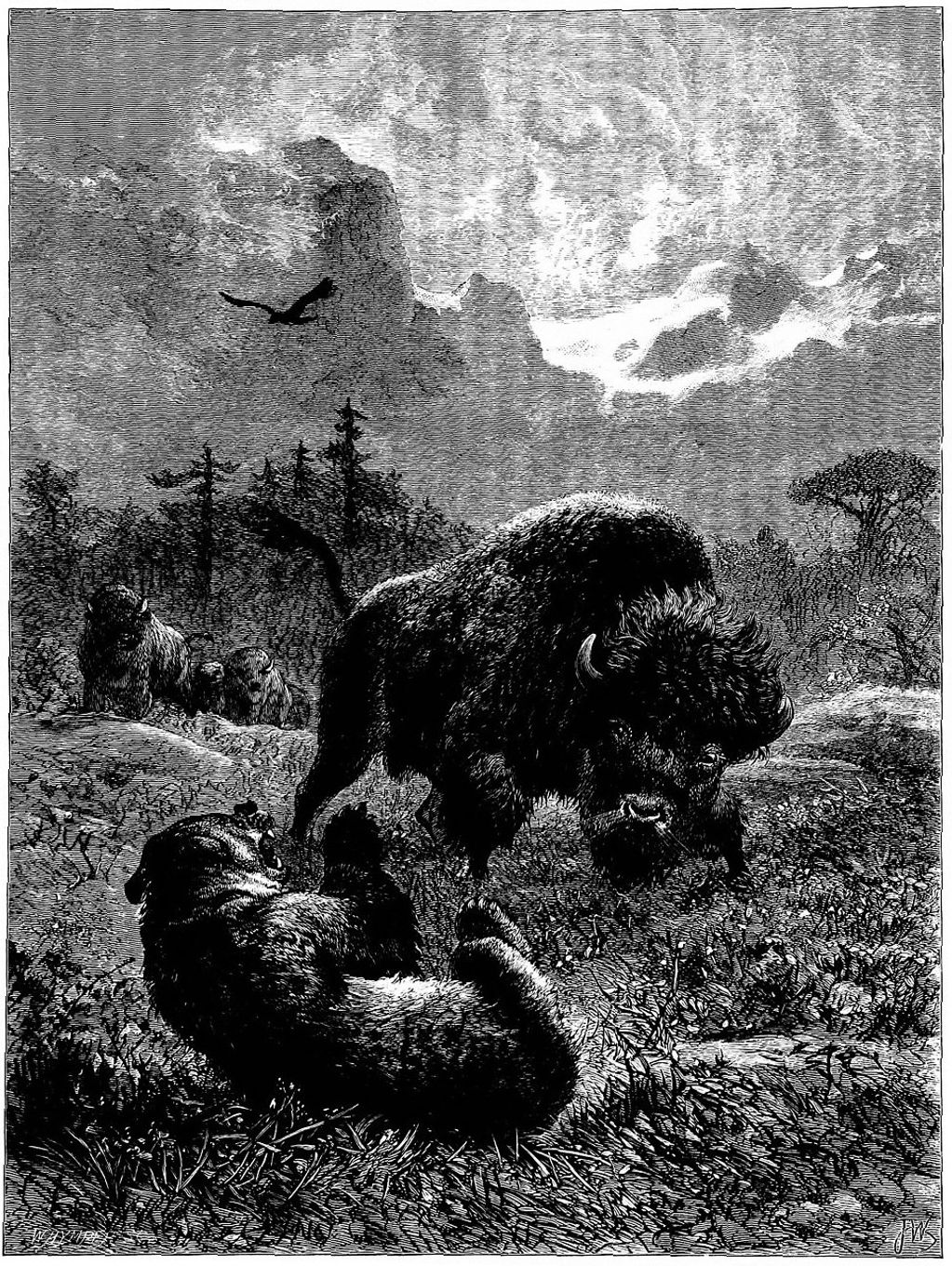 The Earl of Southesk 1859 was the 1st tourist to the Lake Diefenbaker area on a prairie safari.