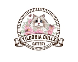 Tildonia Dolls