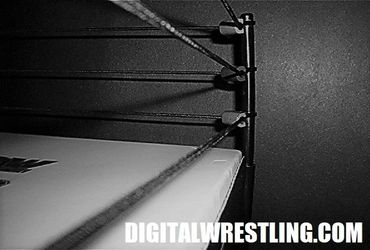 Close-up of a wrestling ring corner with ropes and turnbuckles in black and white.