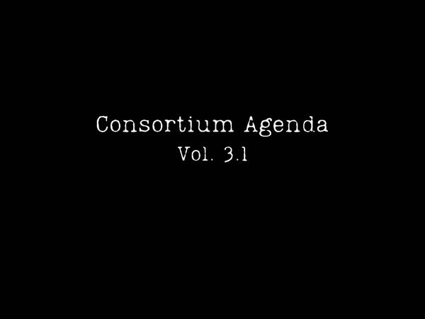 Book cover titled 'Consortium Agenda Vol. 3.1' by Mitch Johnson.