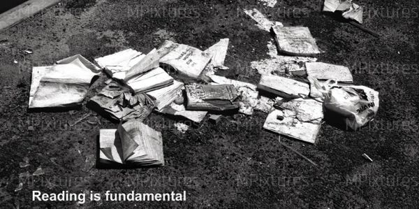 Wet, discarded books scattered on the ground, emphasizing the phrase 'Reading is fundamental'.