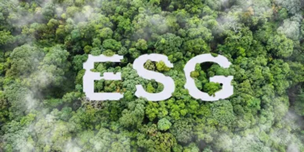 A lush green forest with the letters ESG cut out in the canopy.