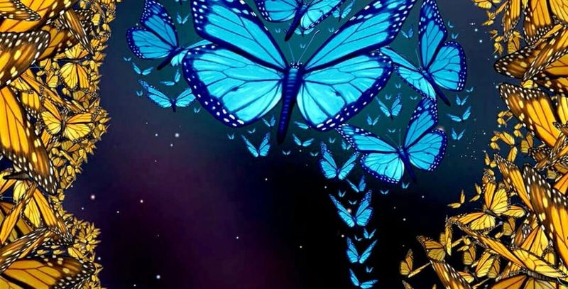 Butterflies light up the brain transforming the mind