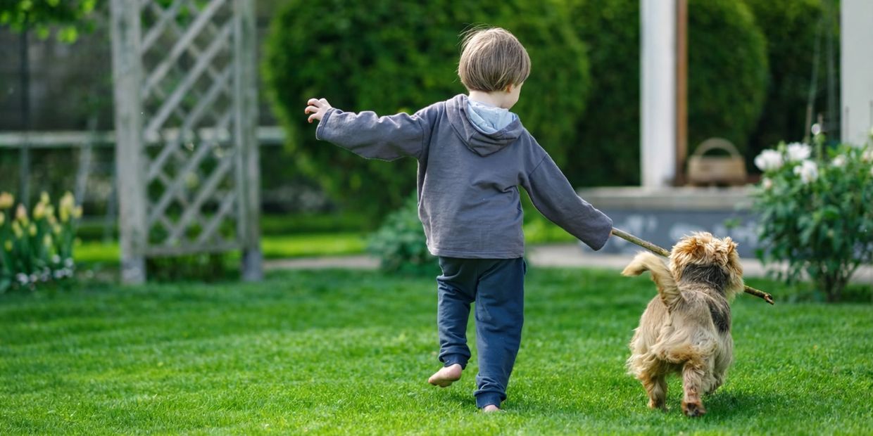 A child and dog play together with a stick in a green garden.