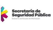 seguridad profesional