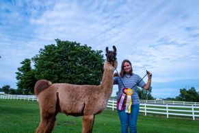 Winning team - Llama and Handler