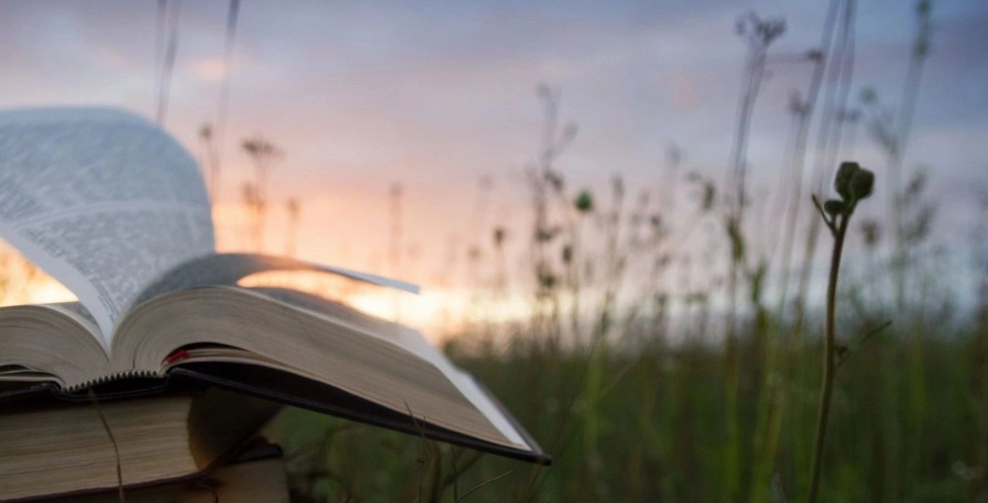 Bible open in a field at sun rise