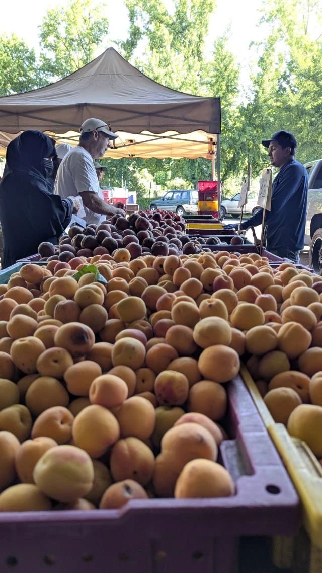People buying fresh peaches at an outdoor market stall under a canopy.
