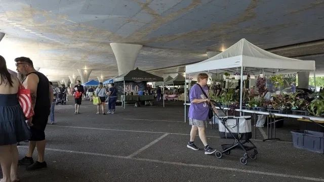 People shopping at a market under a bridge with various stalls.