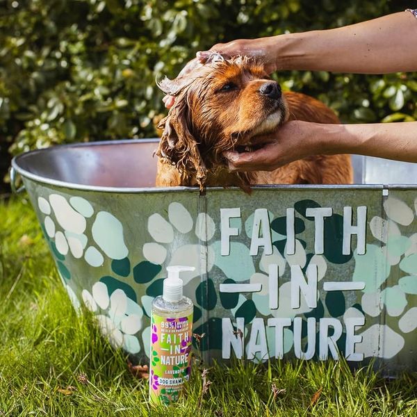 Dog bathing in Faith in Nature