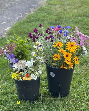 A Bushel and a Peck Flower Farm