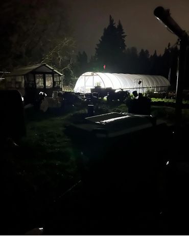 A Bushel and a Peck Flower Farm