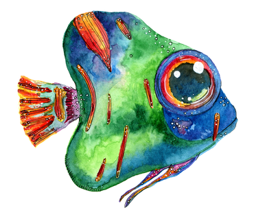 Big Eyed Angel Fish - Watercolor green blue and red