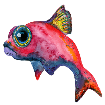 big eyed grouper fish watercolor