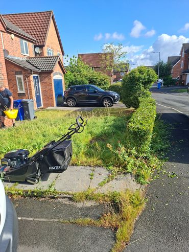 In need of a mow after a years neglect