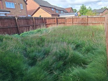 A years neglect, in need of a strim and mow